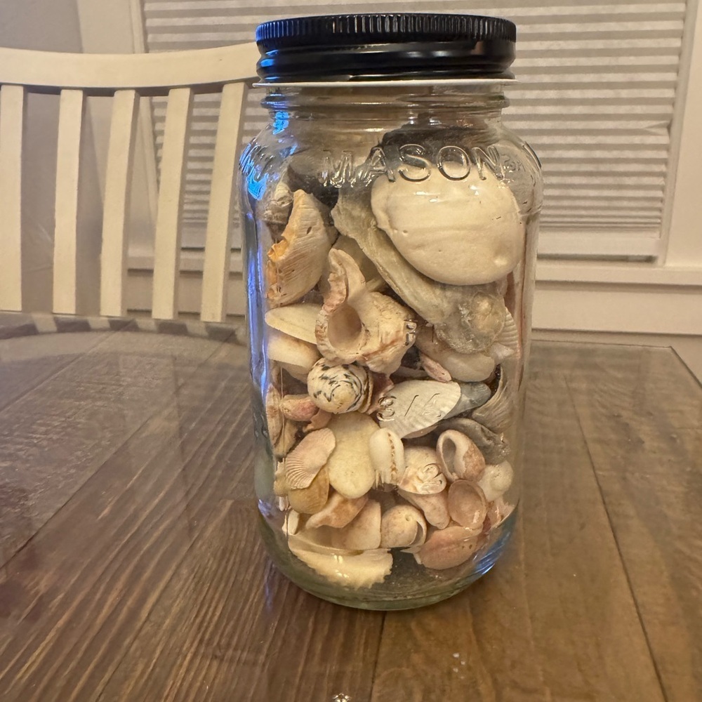 Vintage Seashells in  Mason Jar with Black Lid​​​